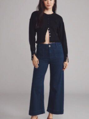 Anthropologie Maeve Colette crop wide leg denim